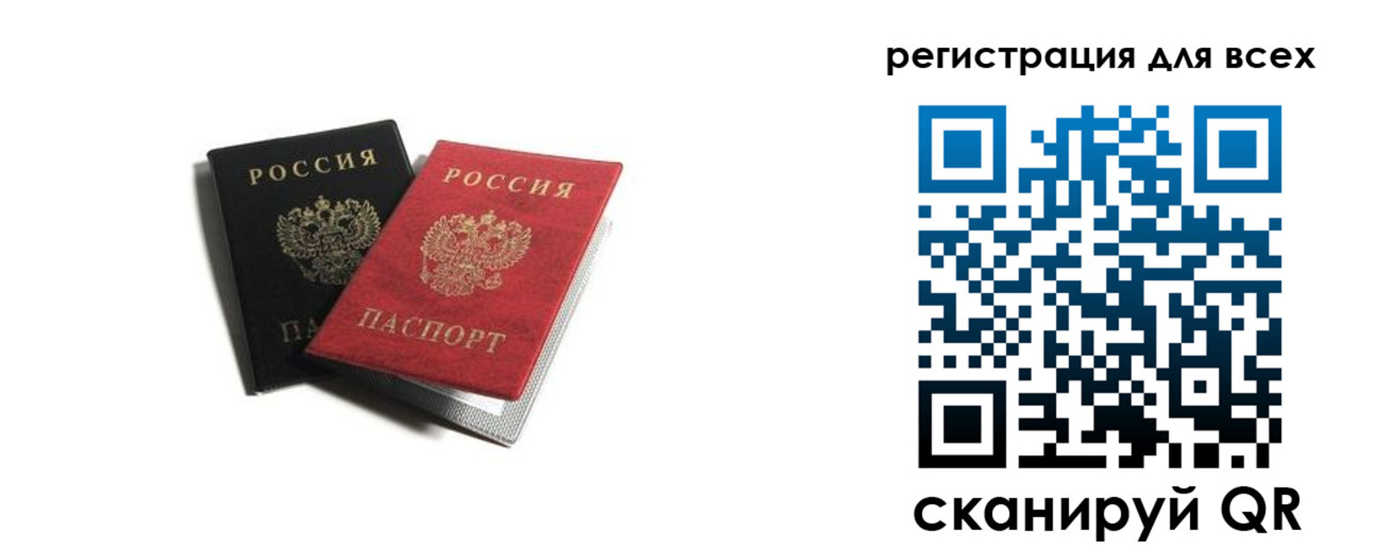 прописка гарантия в Тосно